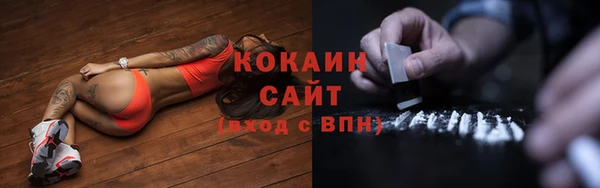 трава Белокуриха