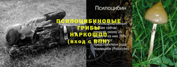 а пвп мука Беломорск