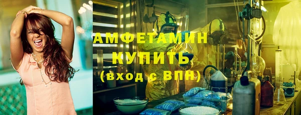 трава Белокуриха